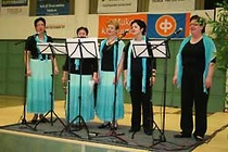 Toijalan Vauhdin 100-vuotisjuhla - Katrilli